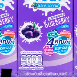 DUTCH MILL UHT Drinking Yogurt Blueberry Flavor 165 ml.