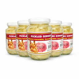 Pickled Galangal 454g